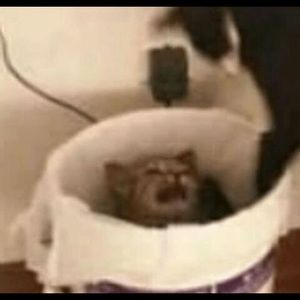 Meet your Posher, Jake